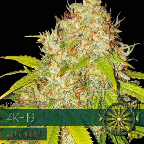 AK-49 – AutoFem