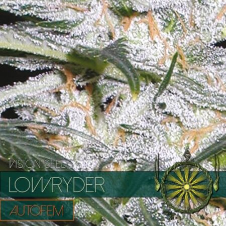 Lowryder – AutoFem