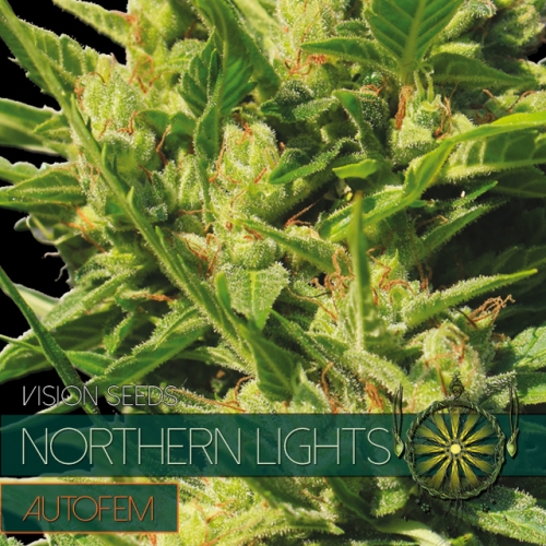 Northern Lights – AutoFem