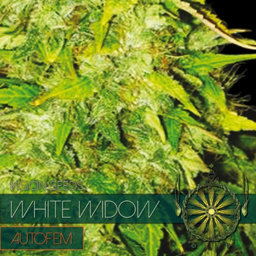 White Widow – AutoFem