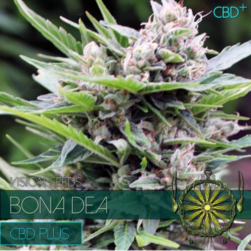 Bona Dea – CDB+