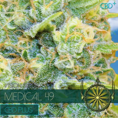 Medical 49 – CBD+