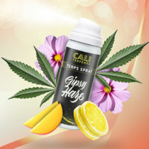 GIPSY HAZE TERPS SPRAY 5ML
