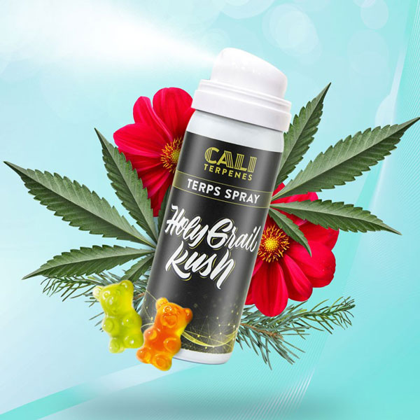 HOLY GRAIL KUSH TERPS SPRAY 5ML